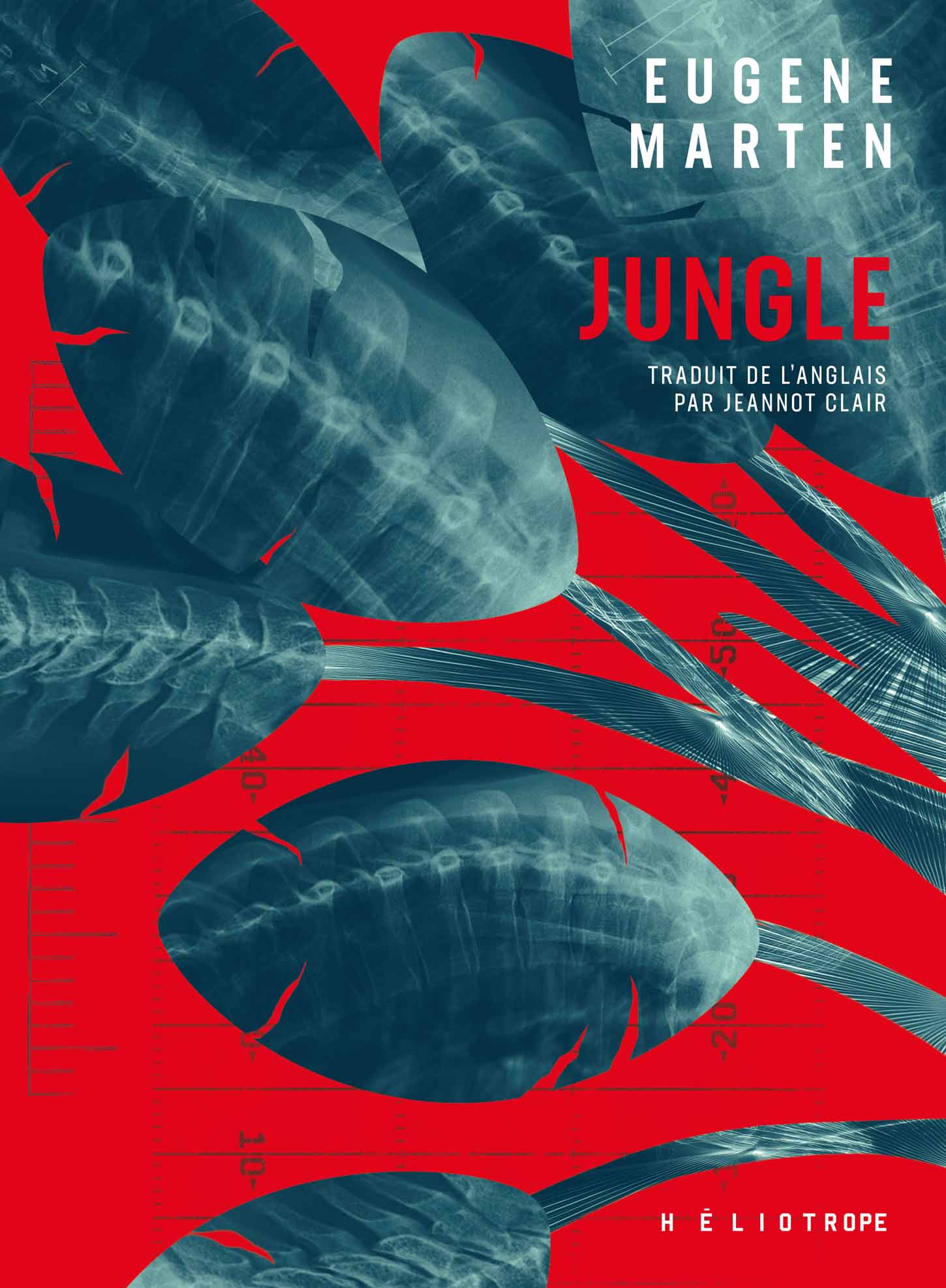 Jungle C1 web