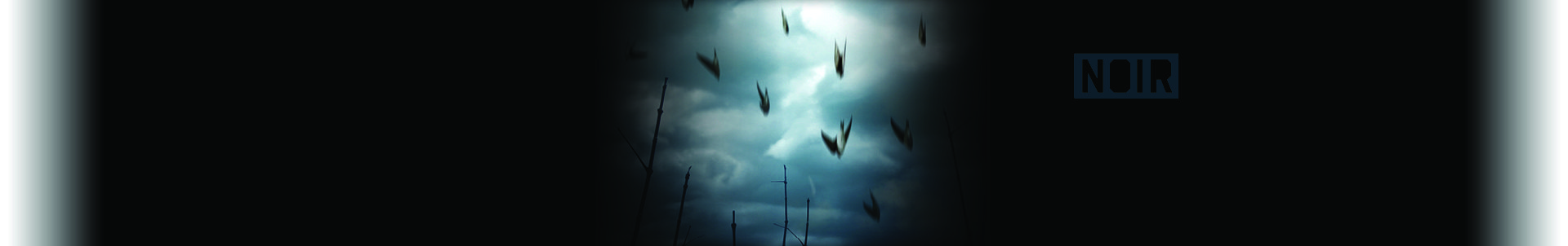 oiseaux_BG